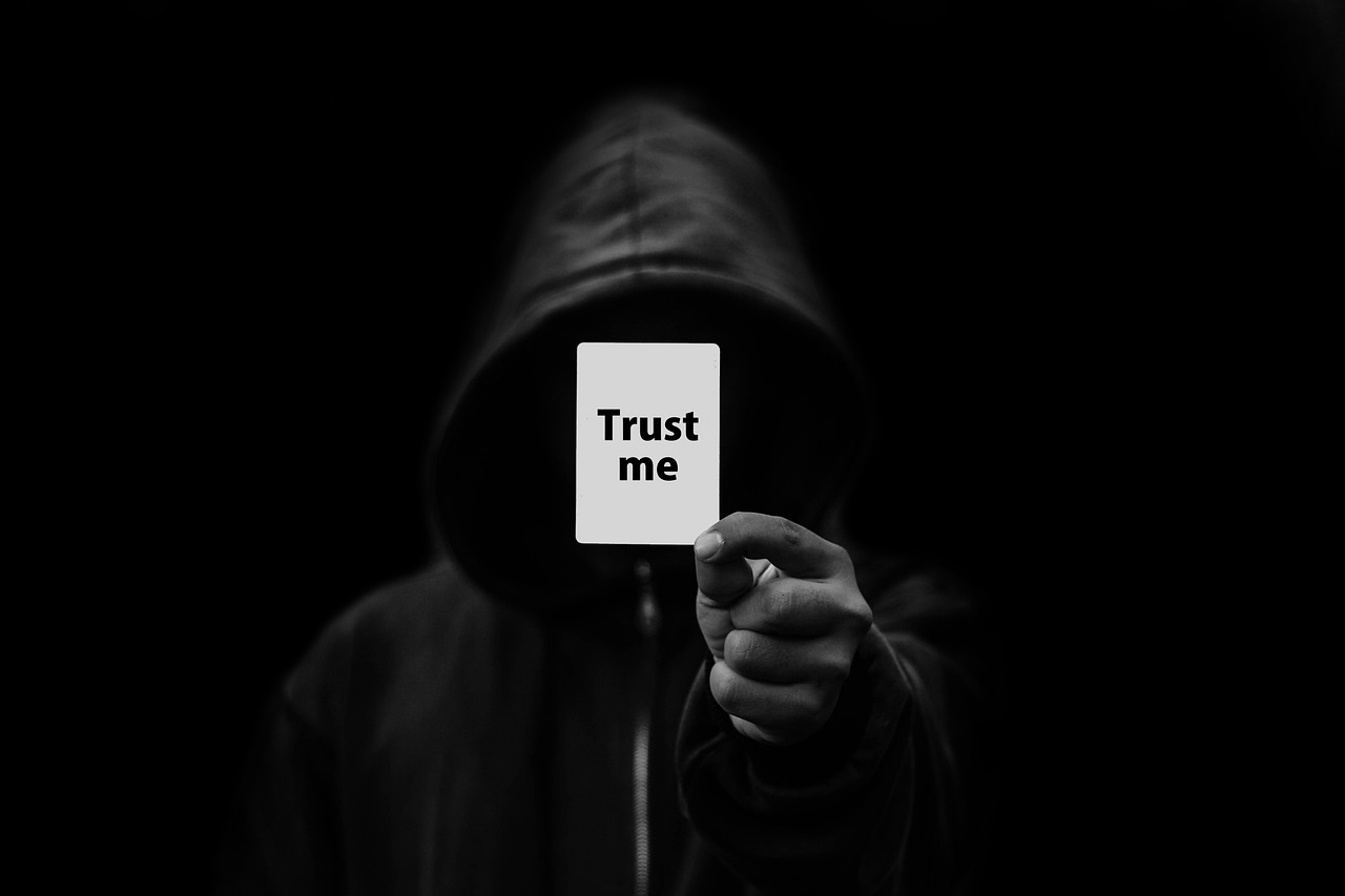 Trust in AI: Skepticism with a sardonic smile