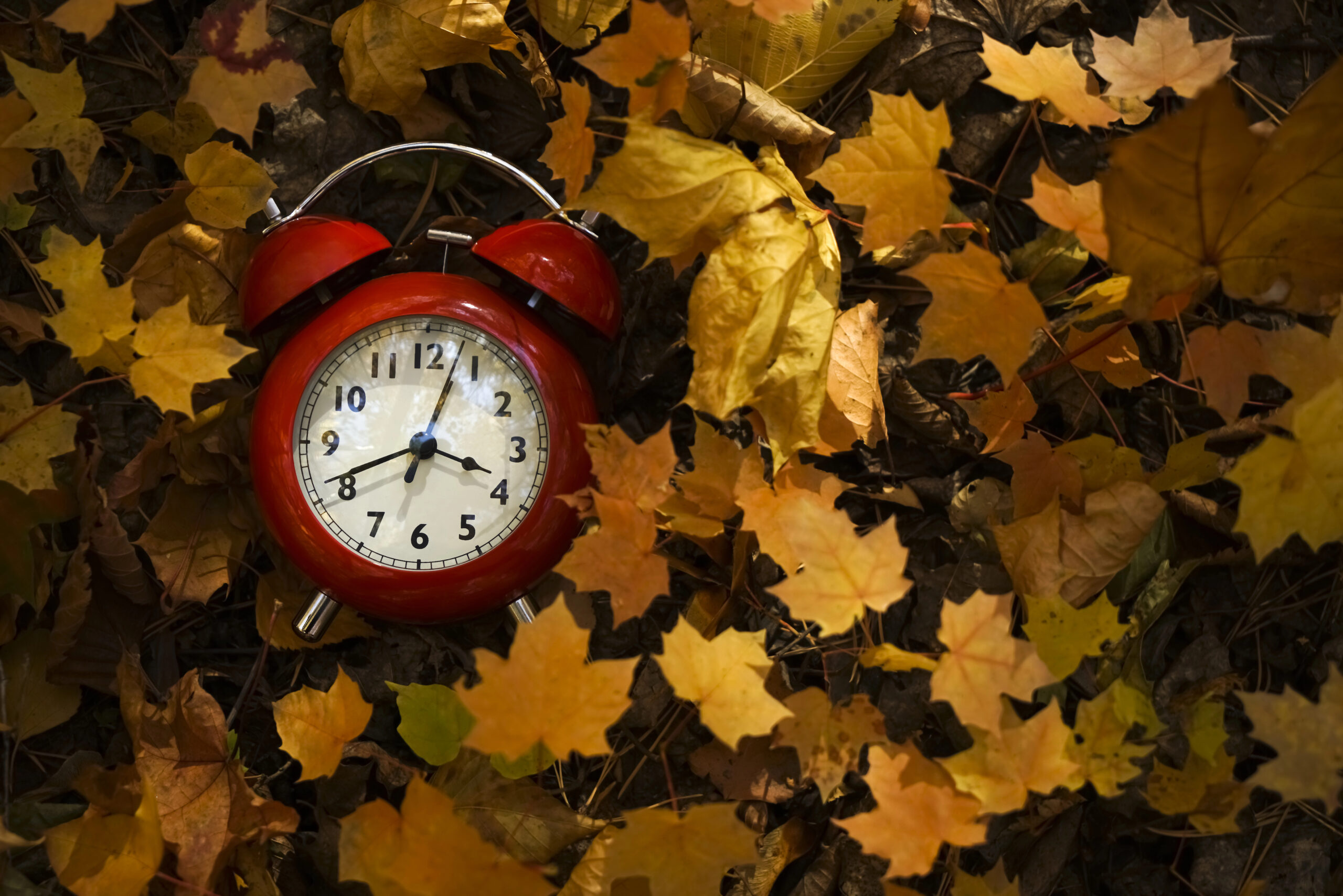 Et si nous ralentissions…